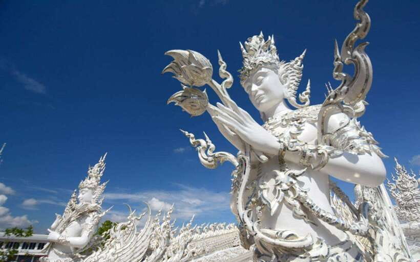 Chiang Mai: White, Blue & Big Buddha Temples in Chiang Rai - Who should book this tour