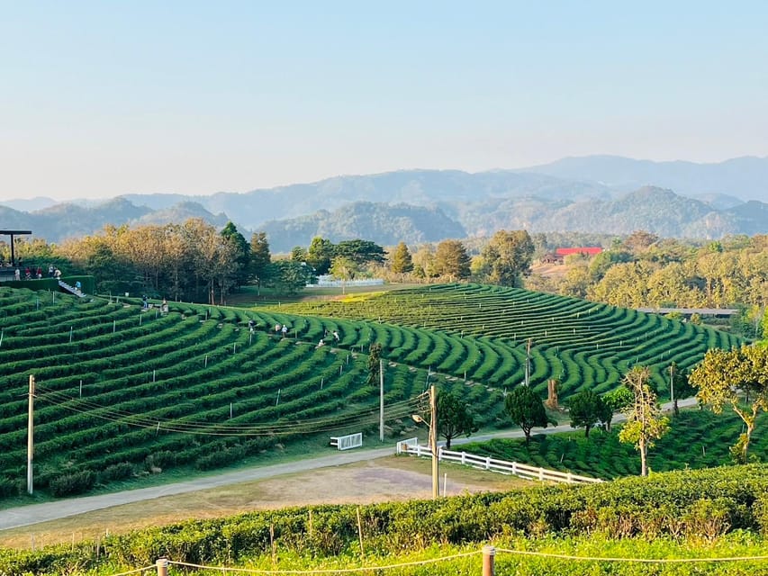Chiang Rai: Discover 7 Must-See Spots & Lunch Included - The Golden Triangle and the Mekong meeting point