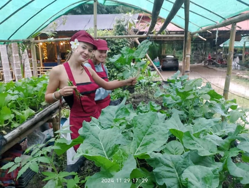 Chiang Rai:Lanna Home Cooking Class at Give Green Farm House - What you actually cook and eat
