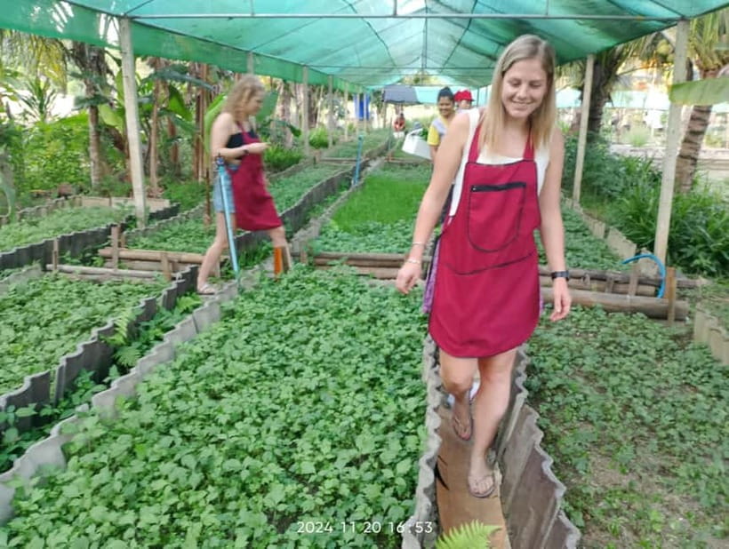 Chiang Rai:Lanna Home Cooking Class at Give Green Farm House - Practical details that affect your day