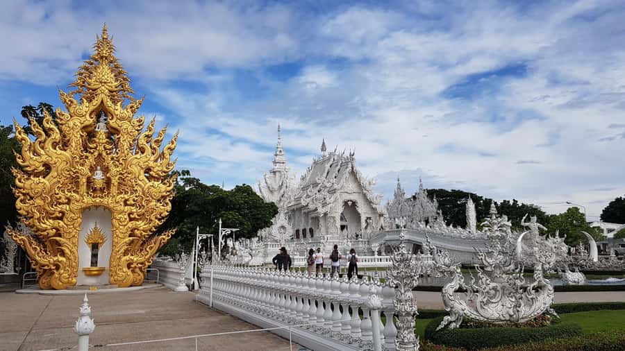 Chiang Rai Must-See Tour – 7 Icons, Lunch & Small Group(9pp) - Choui Fong Tea Plantation and the northern countryside