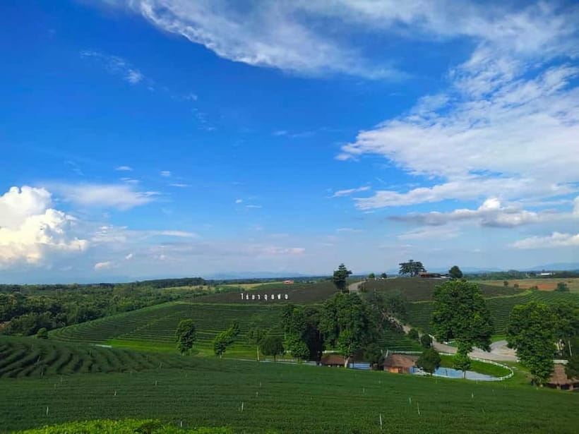 Chiang Rai: Northern Thailand Tour with Golden Triangle - Who should book this Chiang Rai day trip?
