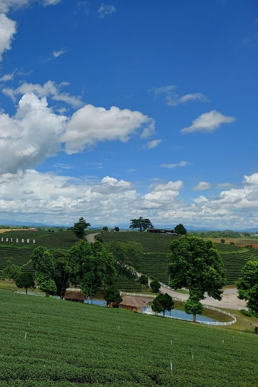 Chiang Rai: Top Temples & Signature Attractions ~Free Buffet - The White Temple sets the tone