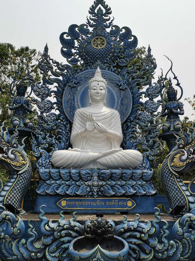 Chiang Rai White, Blue, Red 3 Temples Tour - Lunch, water, and the long ride home