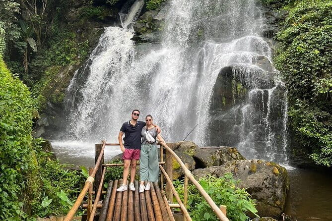 ChiangMai 1DayTour:Elephant Sanctuary,king&queen pagoda,waterfall - Key points at a glance