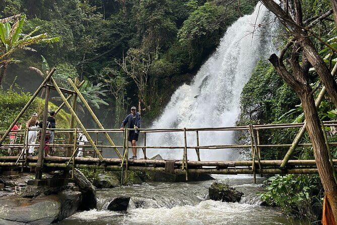 ChiangMai 1DayTour:Elephant Sanctuary,king&queen pagoda,waterfall - The guides can shape the whole experience