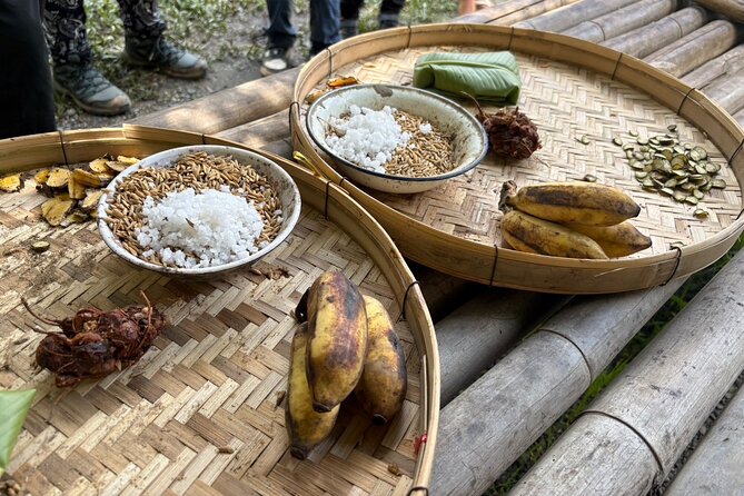 Chiangmai Half Day Visit and Wildlife Experience - Who will enjoy this half-day visit