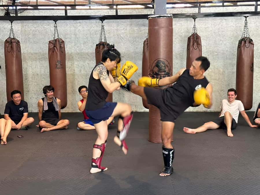 Chiangmai : Muay Thai Training academy - Learning the basics through pads and drills