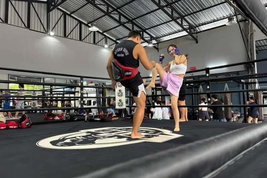 Chiangmai : Muay Thai Training academy - Why the $32 price can make sense