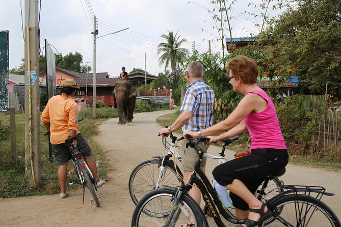 Colors of Ayutthaya Full-Day Bike Tour - Lunch, water, and the value of the $71.37 price
