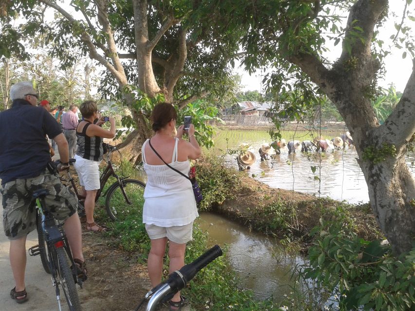 Colors of Chiang Mai Guided Bicycle Tour - Temples, Buddhism, and a former monk’s perspective