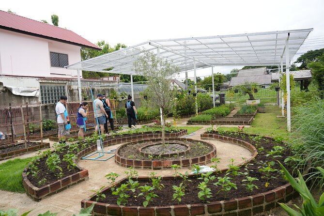 Cooking Class with Organic Farm in Chiang Mai at Mama Noi - Your own station and several Thai dishes