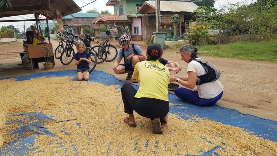 Cycling Sukhothai Full Day Countryside Tour - Heat, clothing, and physical demands