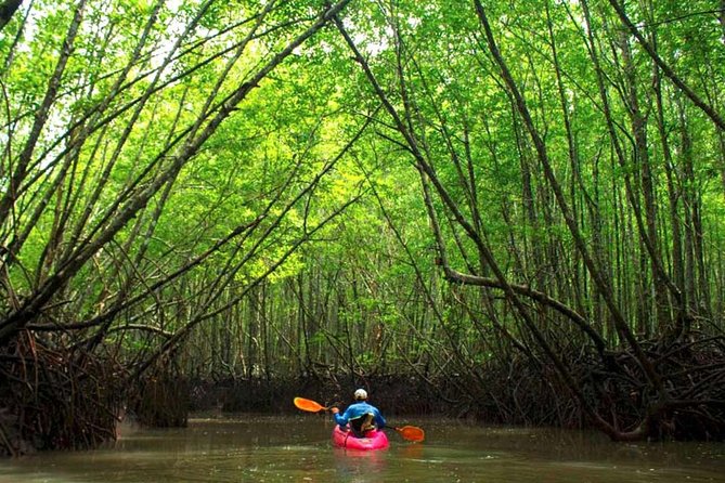 Deep Mangrove and Canyon Kayak Tour in Krabi - At a glance