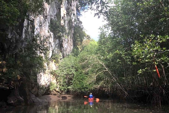 Deep Mangrove and Canyon Kayak Tour in Krabi - Why this route shows a quieter side of Krabi