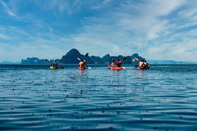 Deep Mangrove and Canyon Kayak Tour in Krabi - The mangrove section is the real prize