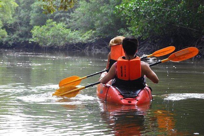 Deep Mangrove and Canyon Kayak Tour in Krabi - How the guides affect your day