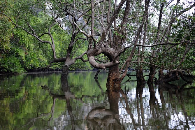 Deep Mangrove and Canyon Kayak Tour in Krabi - Who should book, and who should think twice