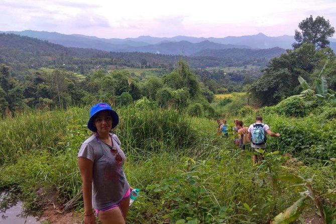Doi Inthanon Day Trip:Twin Pagodas,Soft Hiking,Coffee Plantation - Why Doi Inthanon makes a strong day trip from Chiang Mai