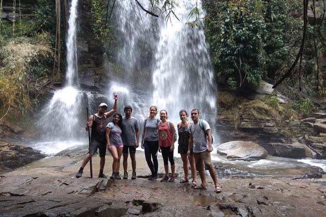 Doi Inthanon Day Trip:Twin Pagodas,Soft Hiking,Coffee Plantation - Kew Mae Pan: the day’s real walking section