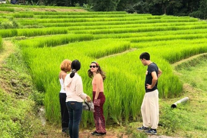 Doi Inthanon Day Trip:Twin Pagodas,Soft Hiking,Coffee Plantation - Lunch, coffee, and what the title really promises