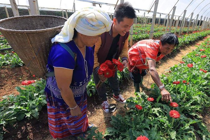 Doi Inthanon Discovery Tour: Waterfalls, Villages & Highest Peak - Why Doi Inthanon makes a worthwhile day from Chiang Mai