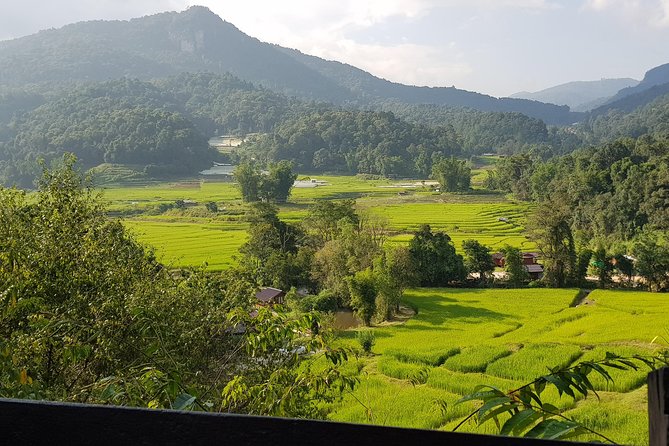 Doi inthanon National Park + 2Hour Fantastic Trekking with Lunch - Ban Mae Klang Luang and the Karen coffee stop