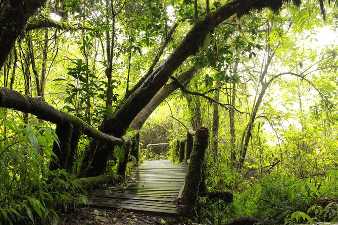 Doi Inthanon National park and 2 hours hiking with private tour - Pagodas, gardens, and a change of pace