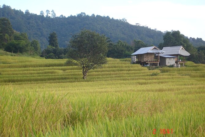 Doi Inthanon National park and 2 hours hiking with private tour - Starting in Chiang Mai with a private guide