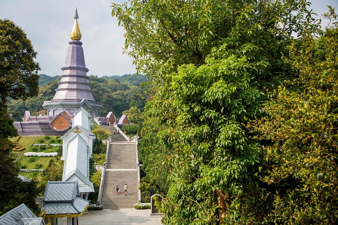 Doi Inthanon National Park Eco-Friendly Full Day Tour - Ang Ka Nature Trail: a short walk in a different climate
