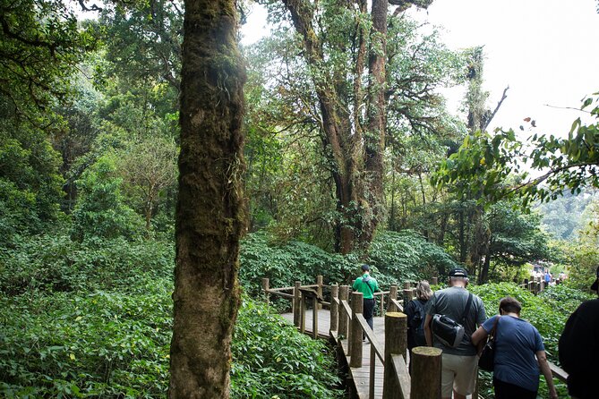 Doi Inthanon National Park Eco-Friendly Full Day Tour - The Twin Royal Stupas and their flower gardens
