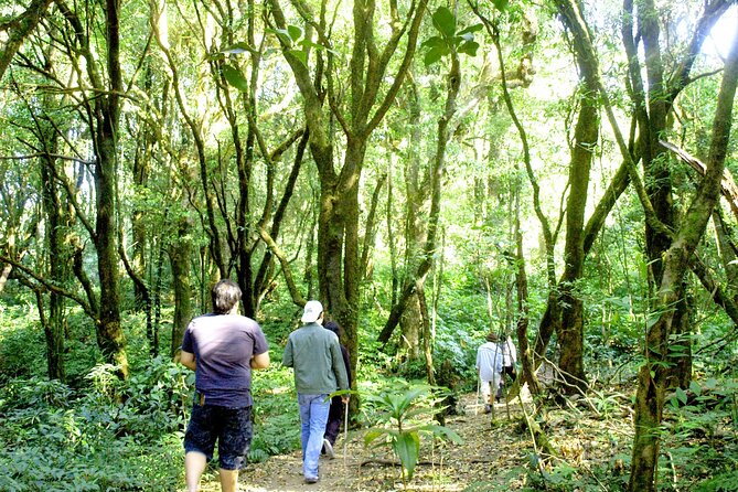 Doi Inthanon National Park, Waterfall & Royal Project Day Tour From Chiang Mai - Wachirathan Falls: the day’s loudest natural stop