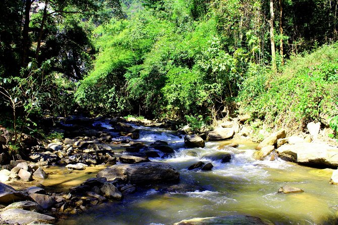 Doi Inthanon National Park, Waterfall & Royal Project Day Tour From Chiang Mai - The King and Queen Pagodas, gardens, and dress rules