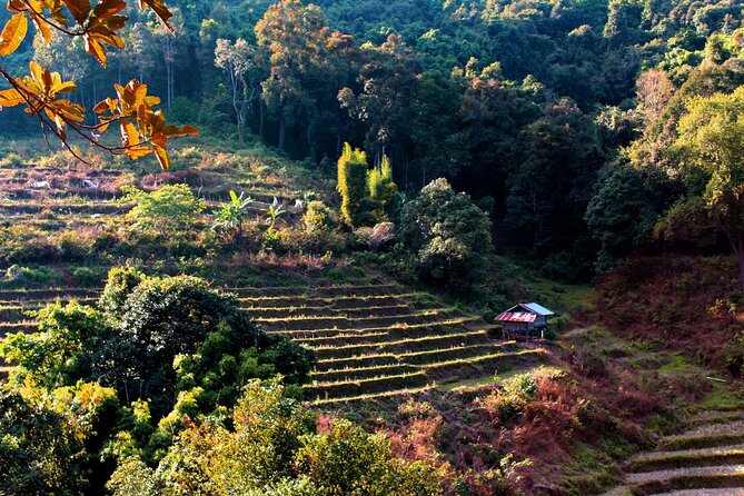 Doi Inthanon National Park, Waterfall & Royal Project Day Tour From Chiang Mai - Lunch, guides, and the small-group setup