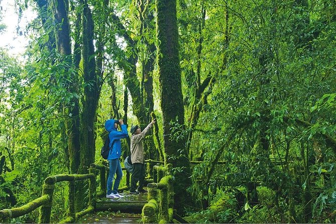 Doi Inthanon Waterfall and Royal Project Chiang Mai - A Karen village adds meaning to the mountain visit