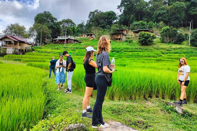 Doi Inthanon Waterfall and Royal Project Chiang Mai - The Hmong market and Royal Project products