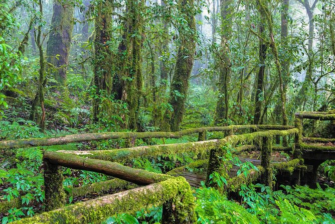 Doi Inthanon Waterfall and Royal Project Chiang Mai - Lunch is simple, useful, and included