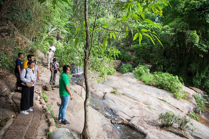Doi Suthep and Wat Pha Lat Sunrise Private Tour – Half Day - What the private format is worth