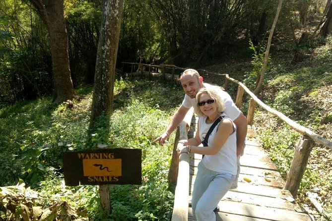 Doi Suthep Temple and Bau Thong Waterfalls Private Tour - What private guiding adds to the day