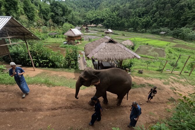 Elephant care program at CHIANGMAI ELEPHANT CARE - Changing into the mahout-style uniform
