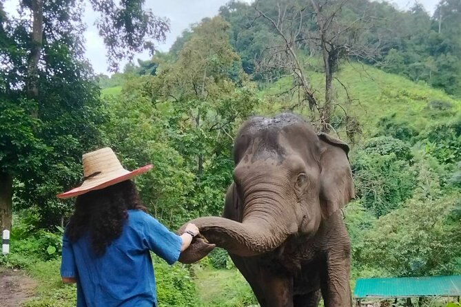Elephant Experience and Hidden Jungle Waterfall Chiang Mai - The waterfall stop in Mae Taeng