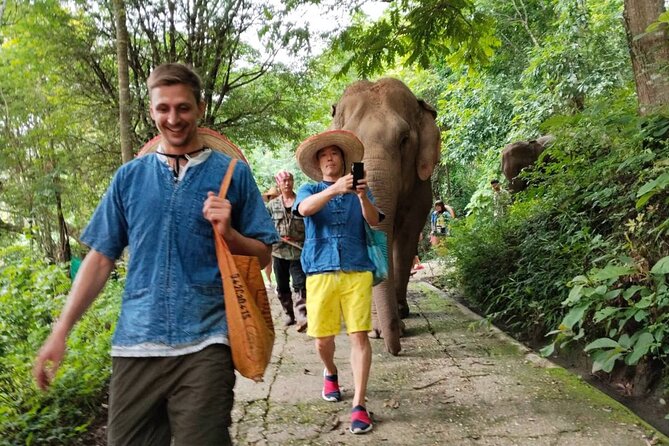 Elephant Experience and Hidden Jungle Waterfall Chiang Mai - How the transport and group size affect the day