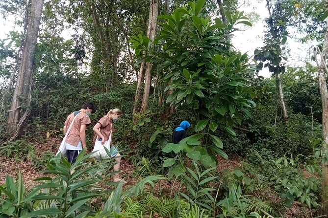 Elephant Sanctuary Small Group Tour in Phuket - Key points to know before booking