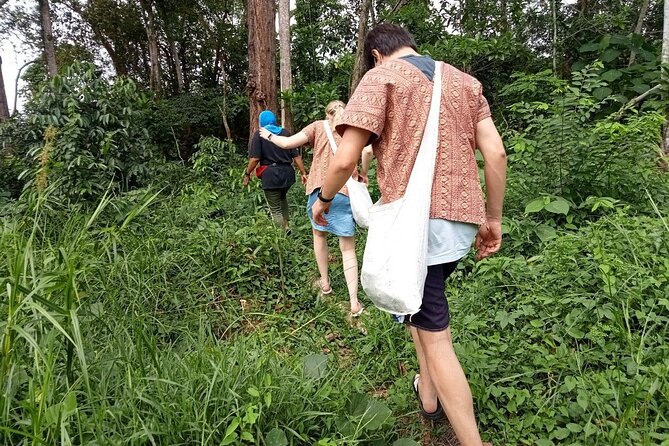 Elephant Sanctuary Small Group Tour in Phuket - Why this elephant visit feels different
