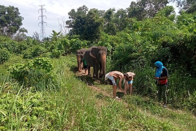 Elephant Sanctuary Small Group Tour in Phuket - Preparing banana and herbal elephant snacks