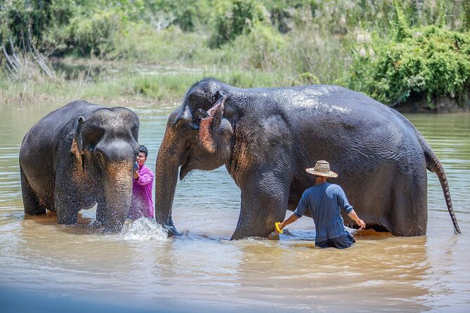 Elephant Sanctuary Small Group Tour in Phuket - What to wear and bring