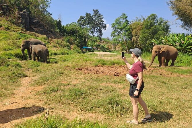 Elephant Sanctuary, Wat Ban Den & Sticky Waterfall - What the guide and vehicle add