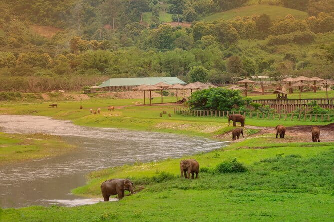 Elephant Sanctuary + Waterfall + Bamboo Rafting One Day Trip - Three Mae Wang experiences in one long day