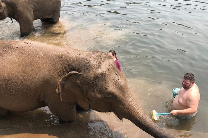 Erawan Waterfall and Elephant care from Bangkok -Private Tour - Erawan Waterfall and its seven pools