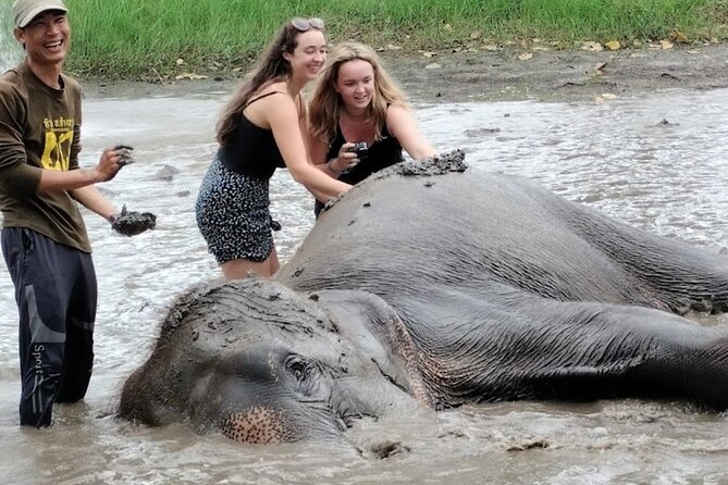 Erawan Waterfall and Elephant care from Bangkok -Private Tour - What the private format really gives you